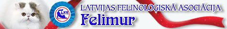 cat club Felimur